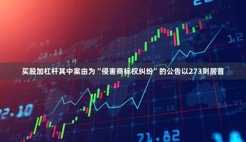 买股加杠杆其中案由为“侵害商标权纠纷”的公告以273则居首