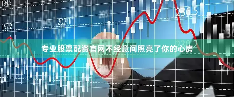专业股票配资官网不经意间照亮了你的心房