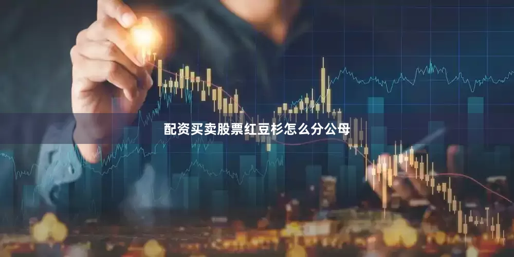 配资买卖股票红豆杉怎么分公母